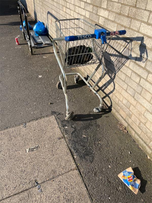 Flytipping shopping trolley and rubbish-209 Strone Road, Forest Gate, London, E7 8ET
