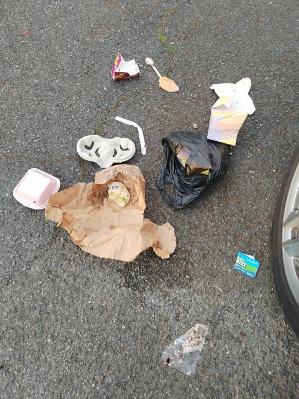 Litter on the street needs to be cleaned not good for the environment -56 Berwick Road, Canning Town, London, E16 3DS