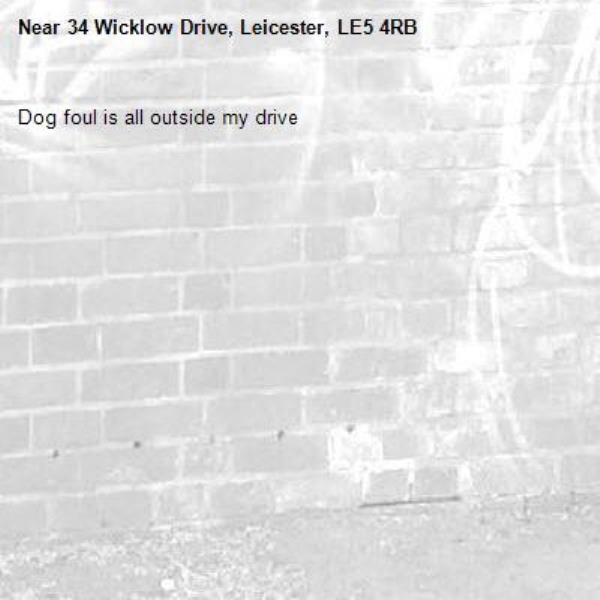 Dog foul is all outside my drive -34 Wicklow Drive, Leicester, LE5 4RB