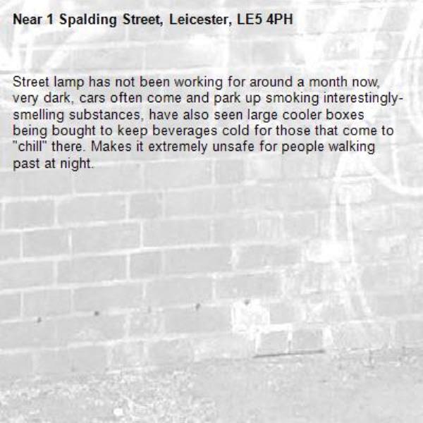 Street lamp has not been working for around a month now, very dark, cars often come and park up smoking interestingly-smelling substances, have also seen large cooler boxes being bought to keep beverages cold for those that come to "chill" there. Makes it extremely unsafe for people walking past at night.-1 Spalding Street, Leicester, LE5 4PH