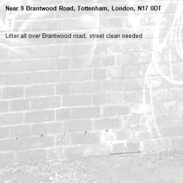 Litter all over Brantwood road, street clean needed -9 Brantwood Road, Tottenham, London, N17 0DT