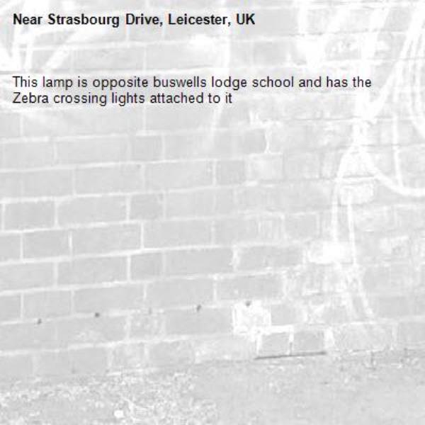 This lamp is opposite buswells lodge school and has the Zebra crossing lights attached to it-Strasbourg Drive, Leicester, UK