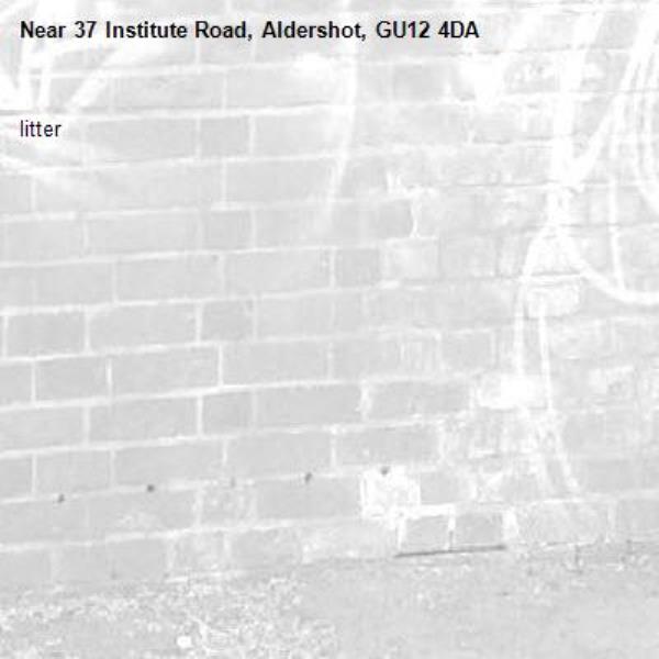 litter -37 Institute Road, Aldershot, GU12 4DA