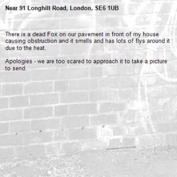 There is a dead Fox on our pavement in front of my house causing obstruction and it smells and has lots of flys around it due to the heat.

Apologies - we are too scared to approach it to take a picture to send.-91 Longhill Road, London, SE6 1UB