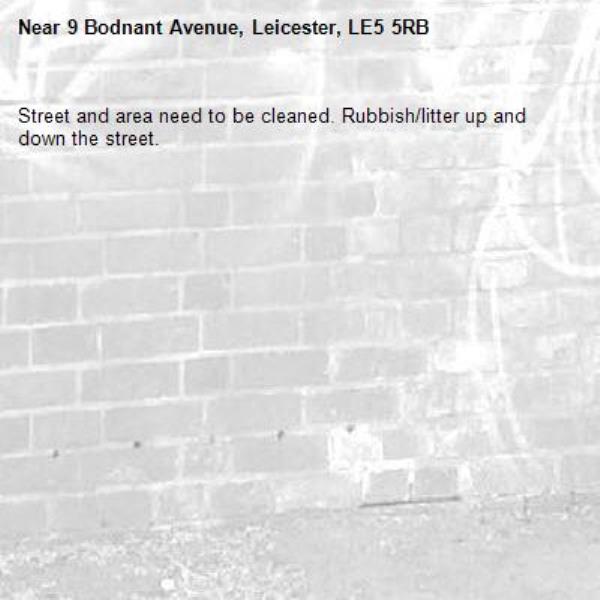 Street and area need to be cleaned. Rubbish/litter up and down the street.-9 Bodnant Avenue, Leicester, LE5 5RB