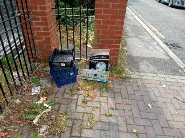 Uncontained cardboard boxes and some plastic crates deposited on Downham Lane BR 1, rear of 483A Bromley Road BR 1. Checked. Please clear -483a Bromley Road, Bromley, BR1 4PQ
