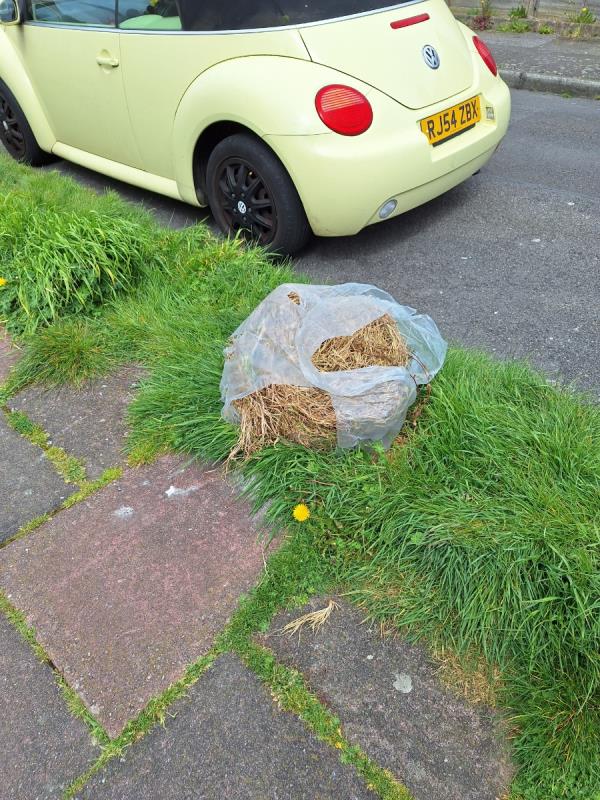 White bag, filled with straw,
Opposite the building on grass verge garages side,
RH-15A, Iden Street, Eastbourne, BN22 9HL