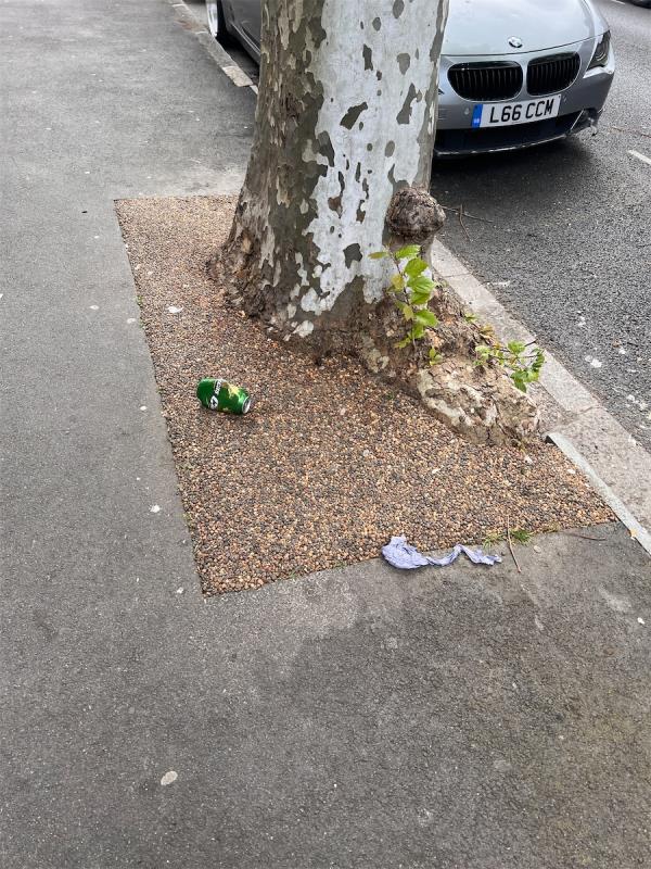 Alcohol cans daily by 71 Lathom road tree by a alcoholic balding eastern European man. Please check and discipline the culprit. -75A, Lathom Road, East Ham, London, E6 2EB