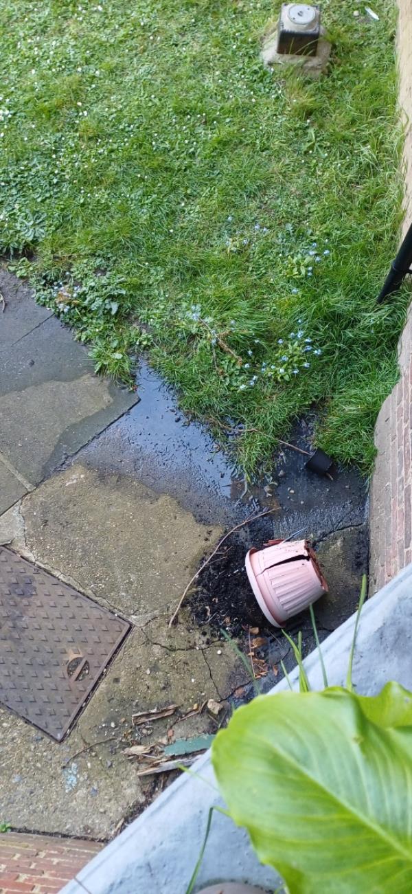 Drain still blocked causing water to over flow and smell.... its been like this for a while... -Wavell House, Hillcrest, Hornsey, London, N6 4HH