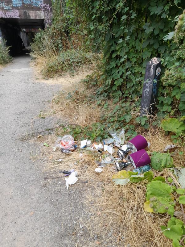Dumped rubbish and 2 lamps at the entrance to the roding valley way walk. Entrance down the alley on Aldersbrook Lane.-48 Aldersbrook Lane, Manor Park, E12 5LG