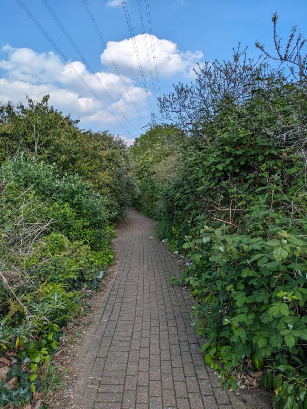Jake Russell walk is disappearing! The walkway is getting very narrow to the point of it being difficult to pass people coming the other way. As a pedestrian and cycle user of the route it's getting very tricky with the bushes and trees growing into the path. Please can a heavy pruning and cutting back be provided for this well used pathway.-Allotments Or Community Growing Spaces