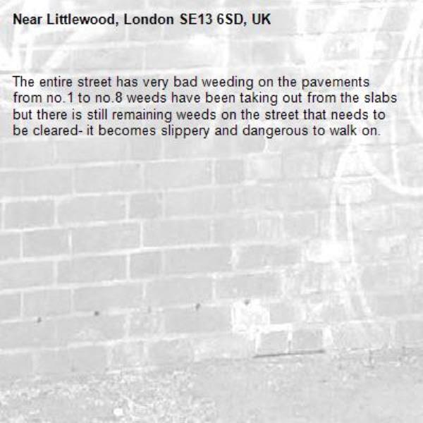 The entire street has very bad weeding on the pavements from no.1 to no.8 weeds have been taking out from the slabs but there is still remaining weeds on the street that needs to be cleared- it becomes slippery and dangerous to walk on.-Littlewood, London SE13 6SD, UK