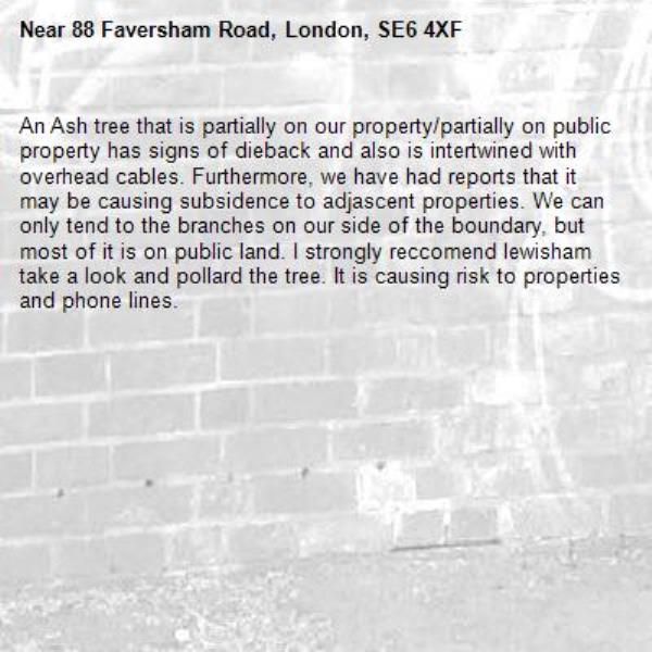 An Ash tree that is partially on our property/partially on public property has signs of dieback and also is intertwined with overhead cables. Furthermore, we have had reports that it may be causing subsidence to adjascent properties. We can only tend to the branches on our side of the boundary, but most of it is on public land. I strongly reccomend lewisham take a look and pollard the tree. It is causing risk to properties and phone lines. -88 Faversham Road, London, SE6 4XF