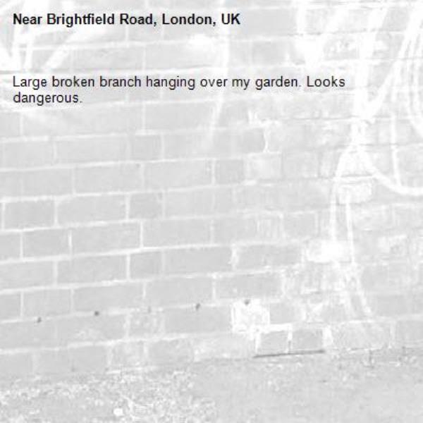 Large broken branch hanging over my garden. Looks dangerous. -Brightfield Road, London, UK