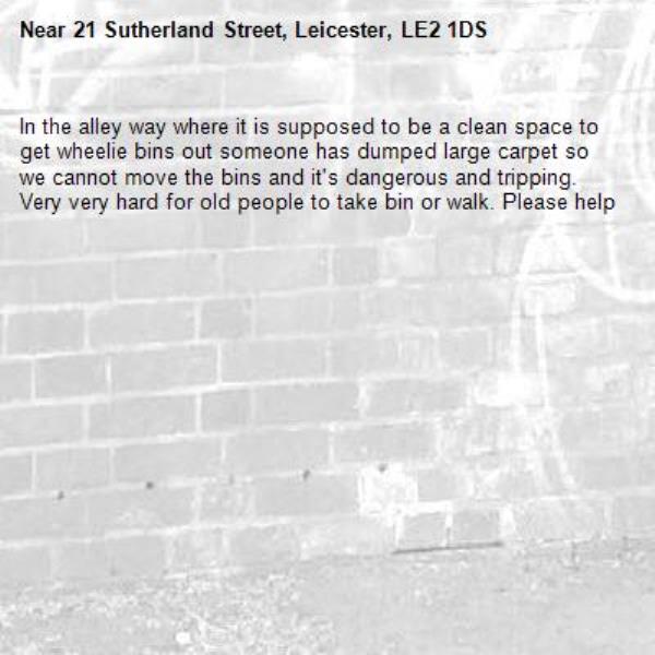 In the alley way where it is supposed to be a clean space to get wheelie bins out someone has dumped large carpet so we cannot move the bins and it's dangerous and tripping. Very very hard for old people to take bin or walk. Please help-21 Sutherland Street, Leicester, LE2 1DS