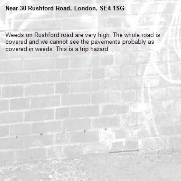 Weeds on Rushford road are very high. The whole road is covered and we cannot see the pavements probably as covered in weeds. This is a trip hazard -30 Rushford Road, London, SE4 1SG