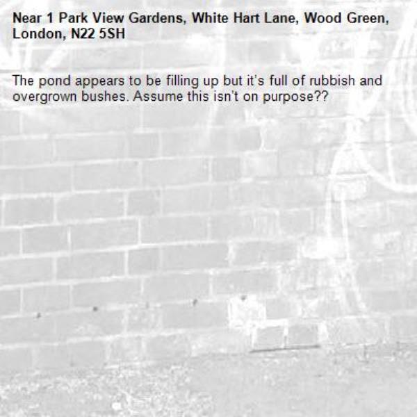 The pond appears to be filling up but it’s full of rubbish and overgrown bushes. Assume this isn’t on purpose?? -1 Park View Gardens, White Hart Lane, Wood Green, London, N22 5SH