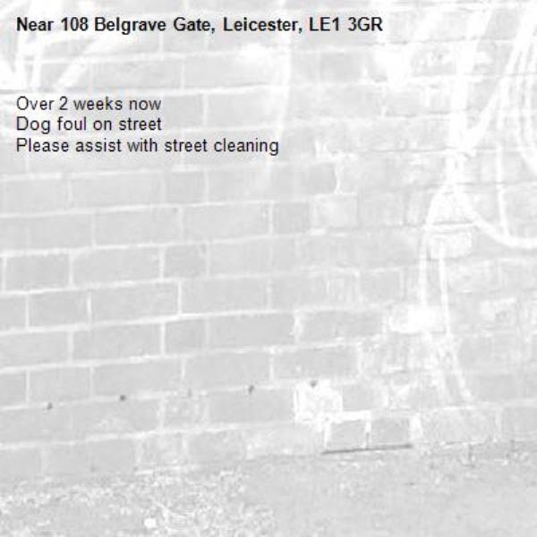 Over 2 weeks now 
Dog foul on street 
Please assist with street cleaning -108 Belgrave Gate, Leicester, LE1 3GR