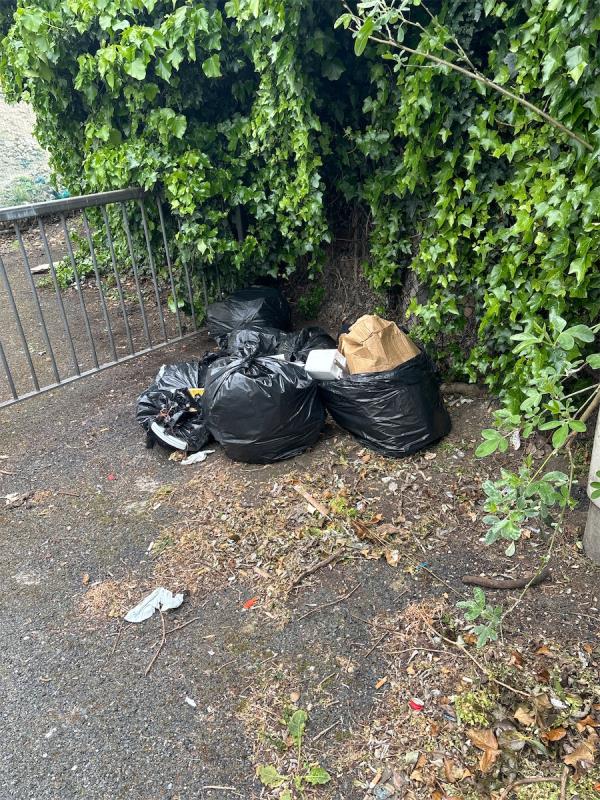 Trash in corner -141 Shakespeare Crescent, Manor Park, London, E12 6LW