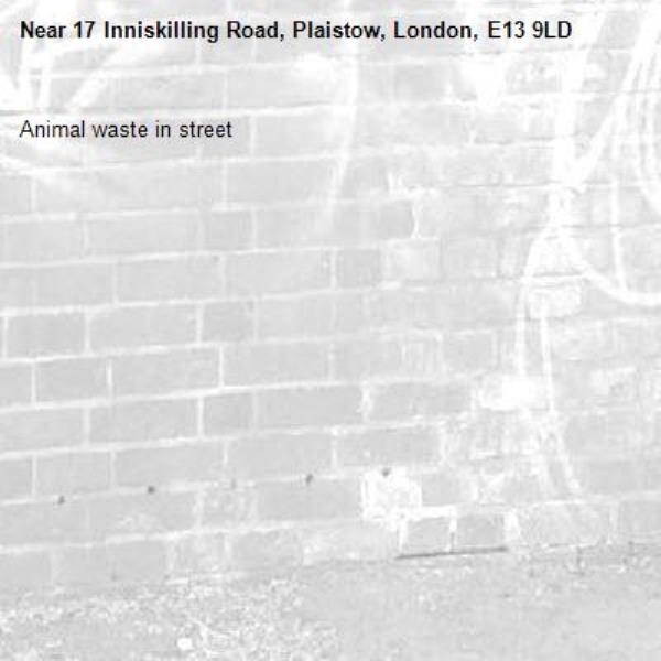 Animal waste in street -17 Inniskilling Road, Plaistow, London, E13 9LD