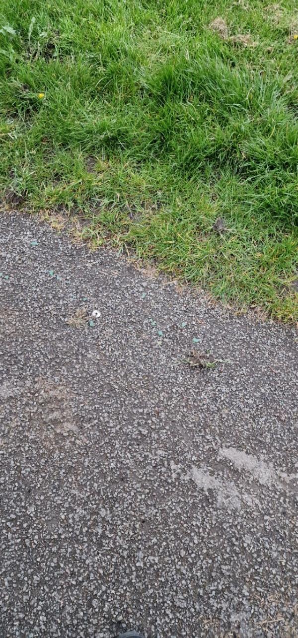 Still glass left near the bridge on the path.  Please clean properly on the pathway.-Krefeld Way, Leicester