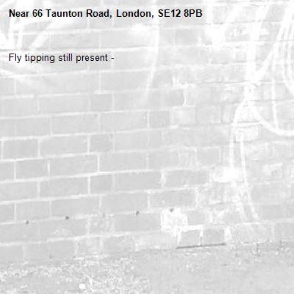 Fly tipping still present - -66 Taunton Road, London, SE12 8PB