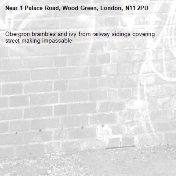 Obergron brambles and ivy from railway sidings covering street making impassable-1 Palace Road, Wood Green, London, N11 2PU
