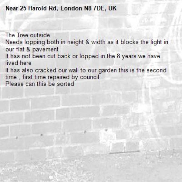 The Tree outside 
Needs lopping both in height &amp; width as it blocks the light in our flat &amp; pavement 
It has not been cut back or lopped in the 8 years we have lived here 
It has also cracked our wall to our garden this is the second time , first time repaired by council
Please can this be sorted -25 Harold Rd, London N8 7DE, UK