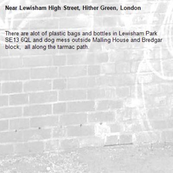 There are alot of plastic bags and bottles in Lewisham Park SE13 6QL and dog mess outside Malling House and Bredgar block,  all along the tarmac path.-Lewisham High Street, Hither Green, London