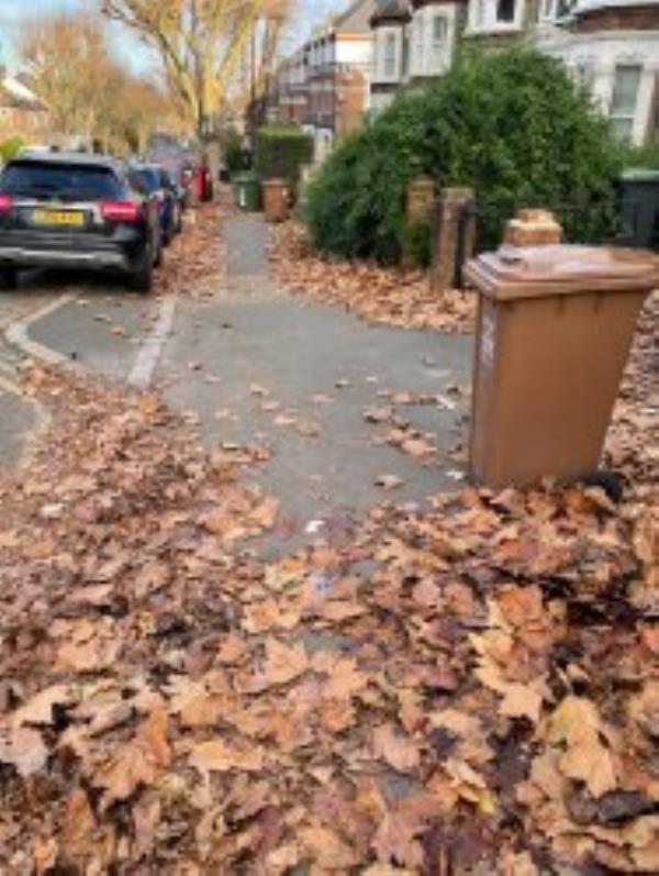 Pepys road has been left in a terrible state. Hardly any street sweeping for months.
Reported via Fix My Street-77b Pepys Road, Telegraph Hill, SE14 5SE, England, United Kingdom