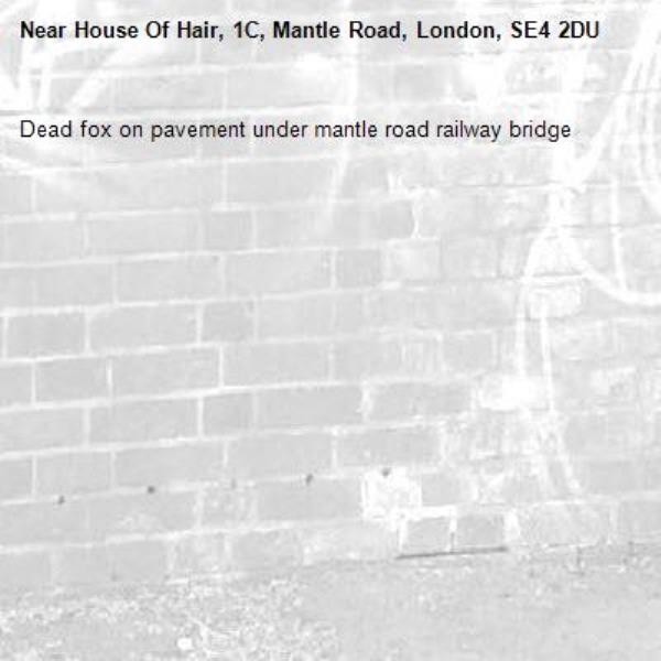 Dead fox on pavement under mantle road railway bridge -House Of Hair, 1C, Mantle Road, London, SE4 2DU