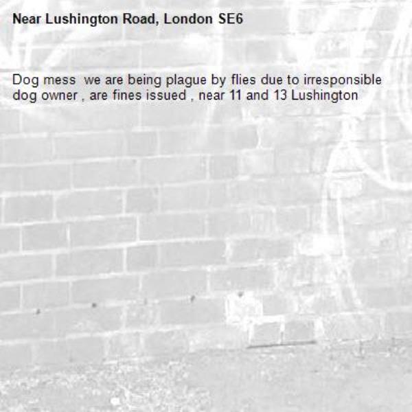 Dog mess  we are being plague by flies due to irresponsible dog owner , are fines issued , near 11 and 13 Lushington -Lushington Road, London SE6