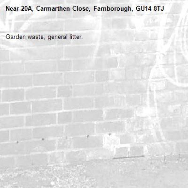 Garden waste, general litter. -20A, Carmarthen Close, Farnborough, GU14 8TJ