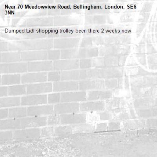 Dumped Lidl shopping trolley been there 2 weeks now -70 Meadowview Road, Bellingham, London, SE6 3NN