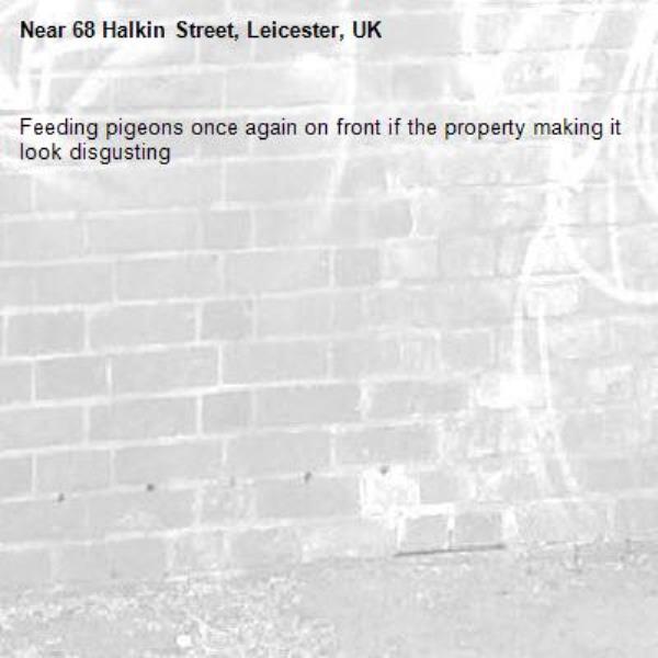 Feeding pigeons once again on front if the property making it look disgusting -68 Halkin Street, Leicester, UK