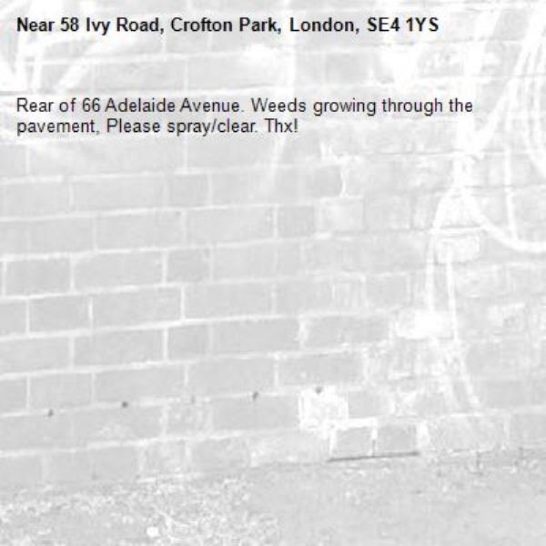Rear of 66 Adelaide Avenue. Weeds growing through the pavement, Please spray/clear. Thx!-58 Ivy Road, Crofton Park, London, SE4 1YS