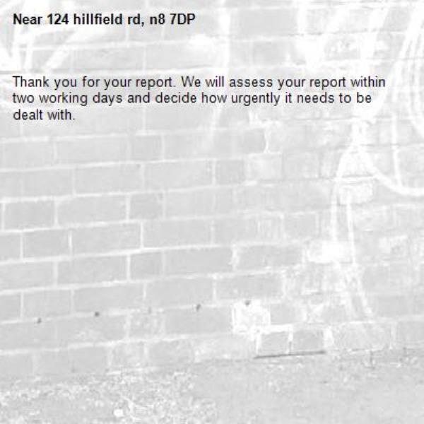 Thank you for your report. We will assess your report within two working days and decide how urgently it needs to be dealt with.-124 hillfield rd, n8 7DP