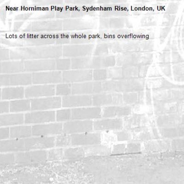 Lots of litter across the whole park, bins overflowing -Horniman Play Park, Sydenham Rise, London, UK