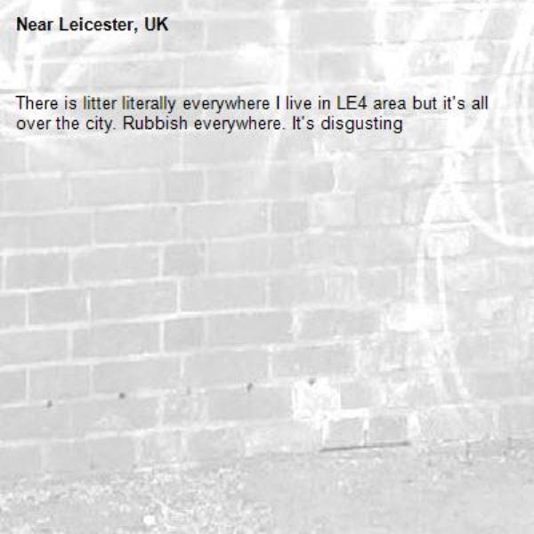 There is litter literally everywhere I live in LE4 area but it's all over the city. Rubbish everywhere. It's disgusting -Leicester, UK
