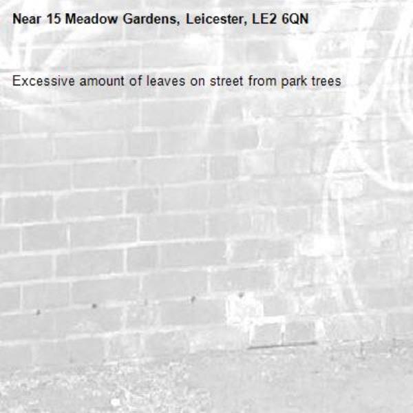 Excessive amount of leaves on street from park trees-15 Meadow Gardens, Leicester, LE2 6QN