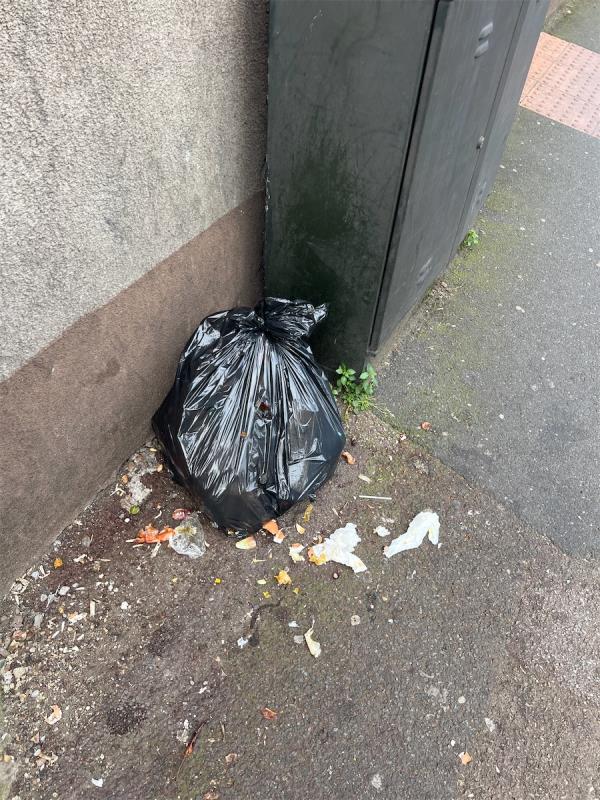 #litter #blackbags-217 Katherine Road, East Ham, London, E6 1BU