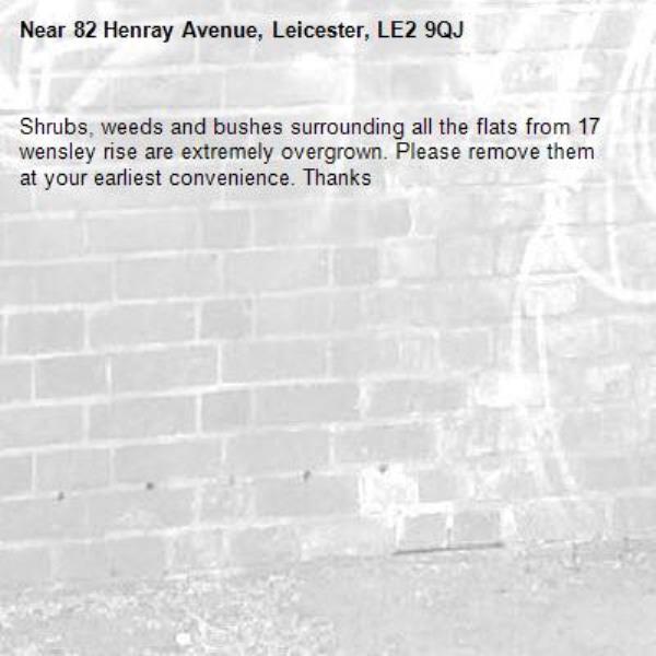 Shrubs, weeds and bushes surrounding all the flats from 17 wensley rise are extremely overgrown. Please remove them at your earliest convenience. Thanks -82 Henray Avenue, Leicester, LE2 9QJ
