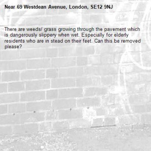 There are weeds/ grass growing through the pavement which is dangerously slippery when wet. Especially for elderly residents who are in stead on their feet. Can this be removed please? -69 Westdean Avenue, London, SE12 9NJ