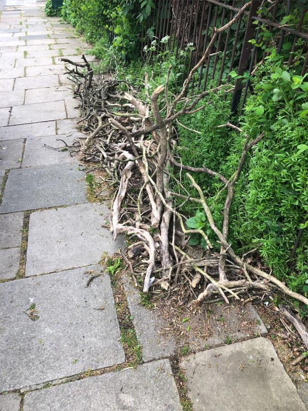 Please clear flytip of branches-115 Downderry Road, Bromley, BR1 5QE