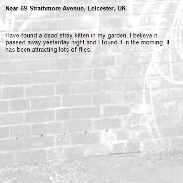 Have found a dead stray kitten in my garden. I believe it passed away yesterday night and I found it in the morning. It has been attracting lots of flies.-69 Strathmore Avenue, Leicester, UK