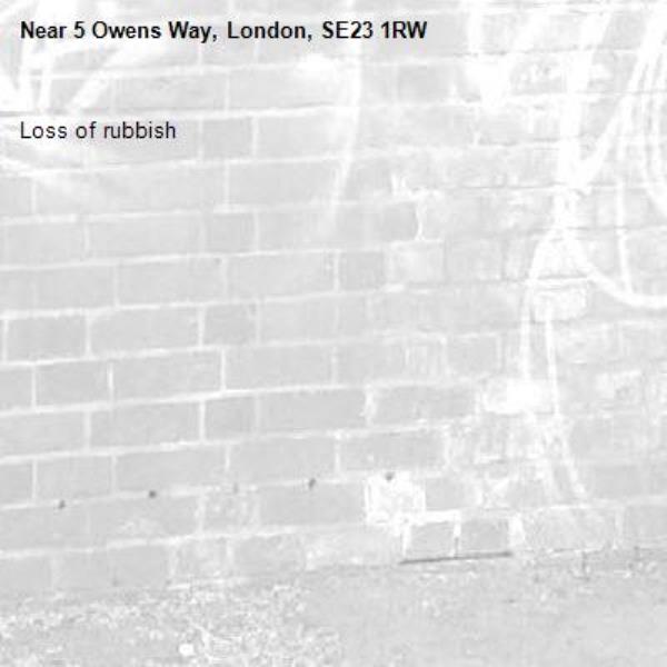 Loss of rubbish-5 Owens Way, London, SE23 1RW