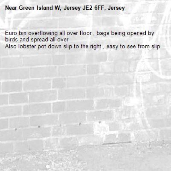 Euro bin overflowing all over floor , bags being opened by birds and spread all over 
Also lobster pot down slip to the right , easy to see from slip-Green Island W, Jersey JE2 6FF, Jersey