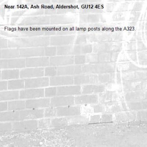 Flags have been mounted on all lamp posts along the A323.-142A, Ash Road, Aldershot, GU12 4ES