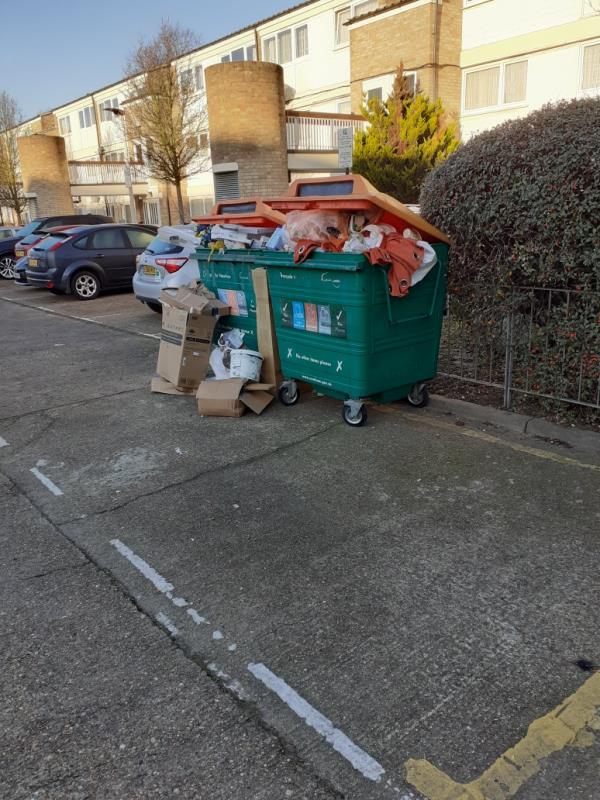 Missed recycle bins collection -18 Carroll Close, London, E15 1RS