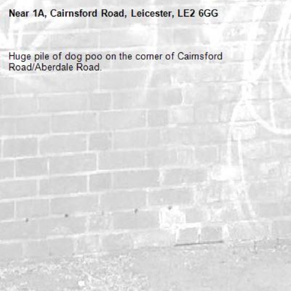 Huge pile of dog poo on the corner of Cairnsford Road/Aberdale Road.-1A, Cairnsford Road, Leicester, LE2 6GG